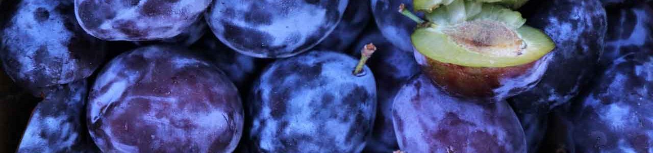 fruit-plum-purple-fruit-5426690-web